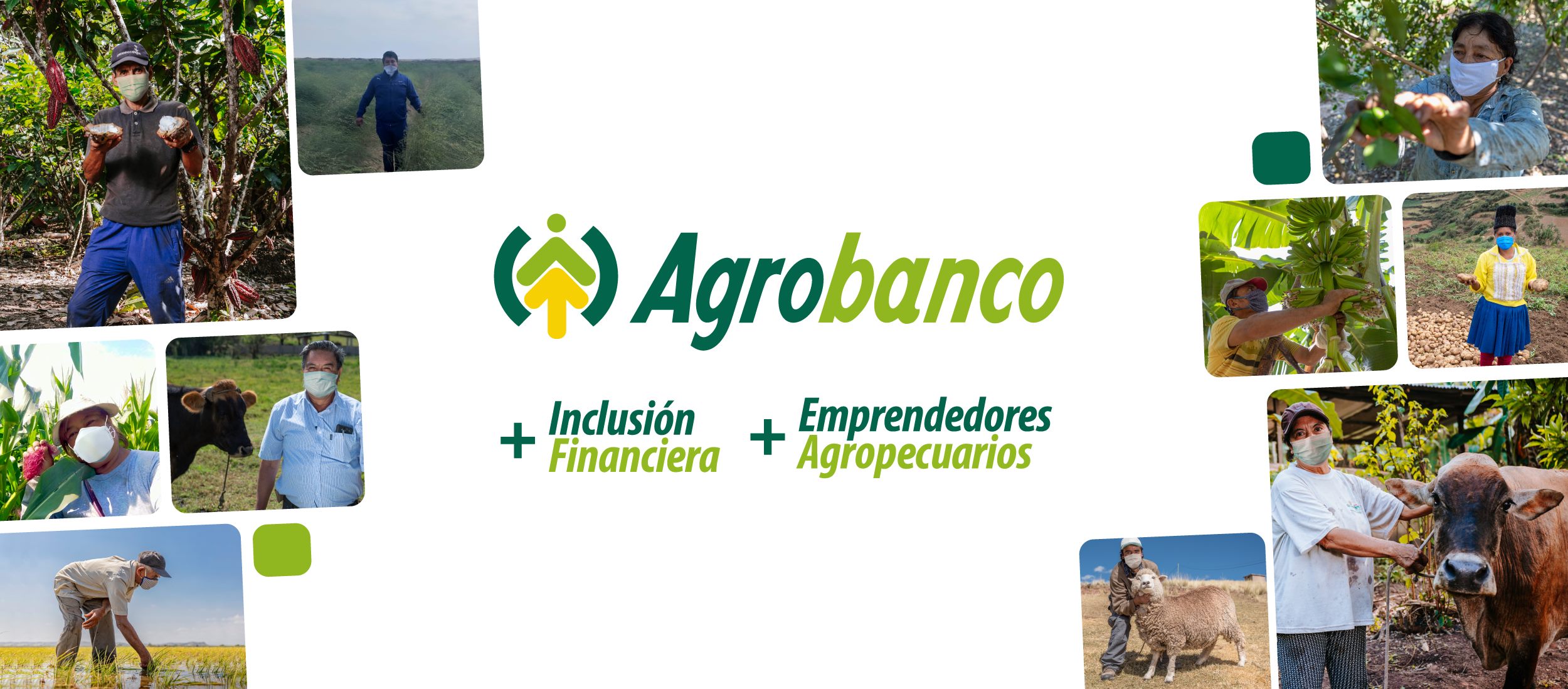 Imagen institucional